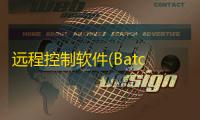 远程控制软件(BatchPatch) 3.28 免费版